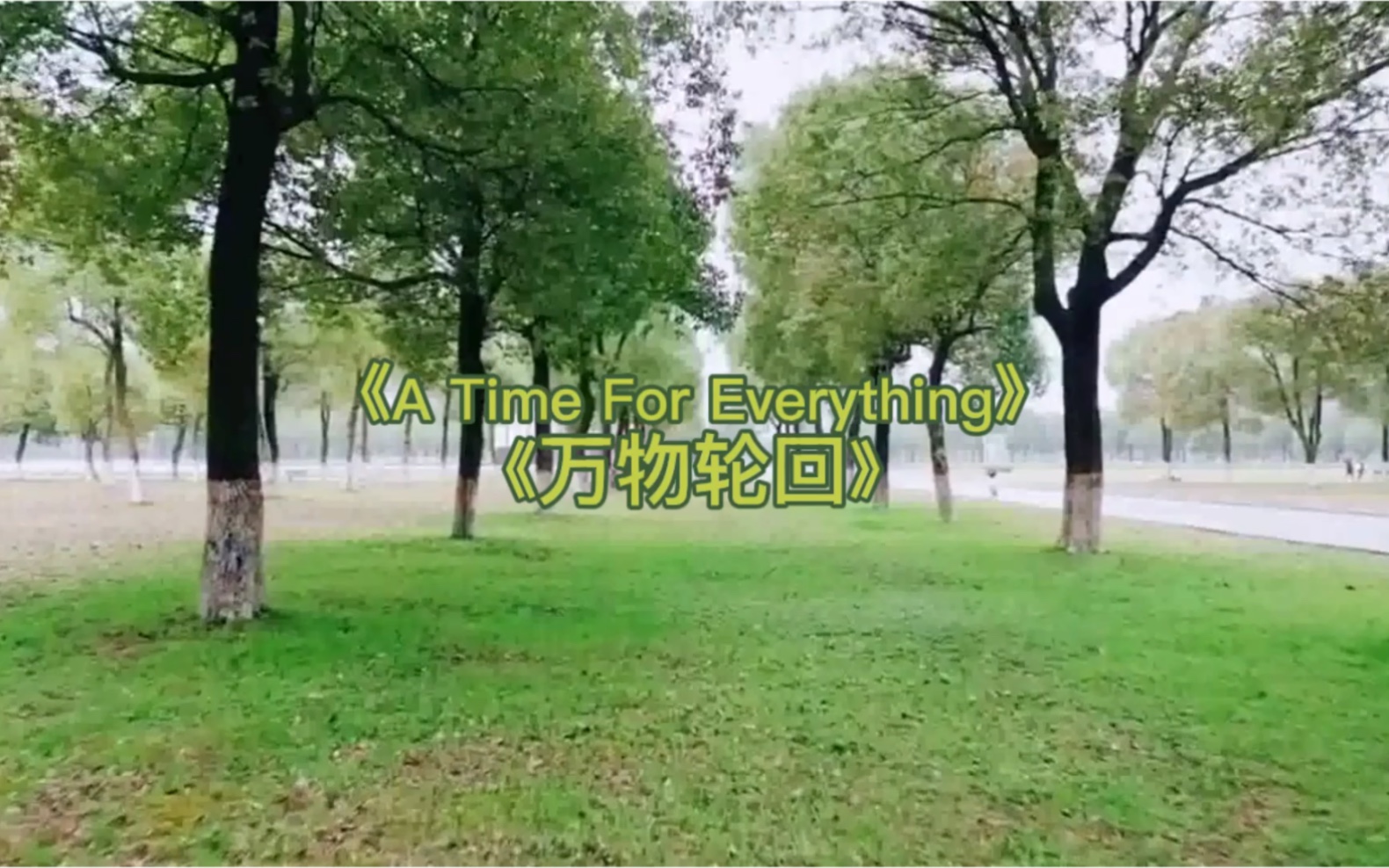 经典美文推荐分享之《A Time For Everything》《万物轮回》哔哩哔哩bilibili