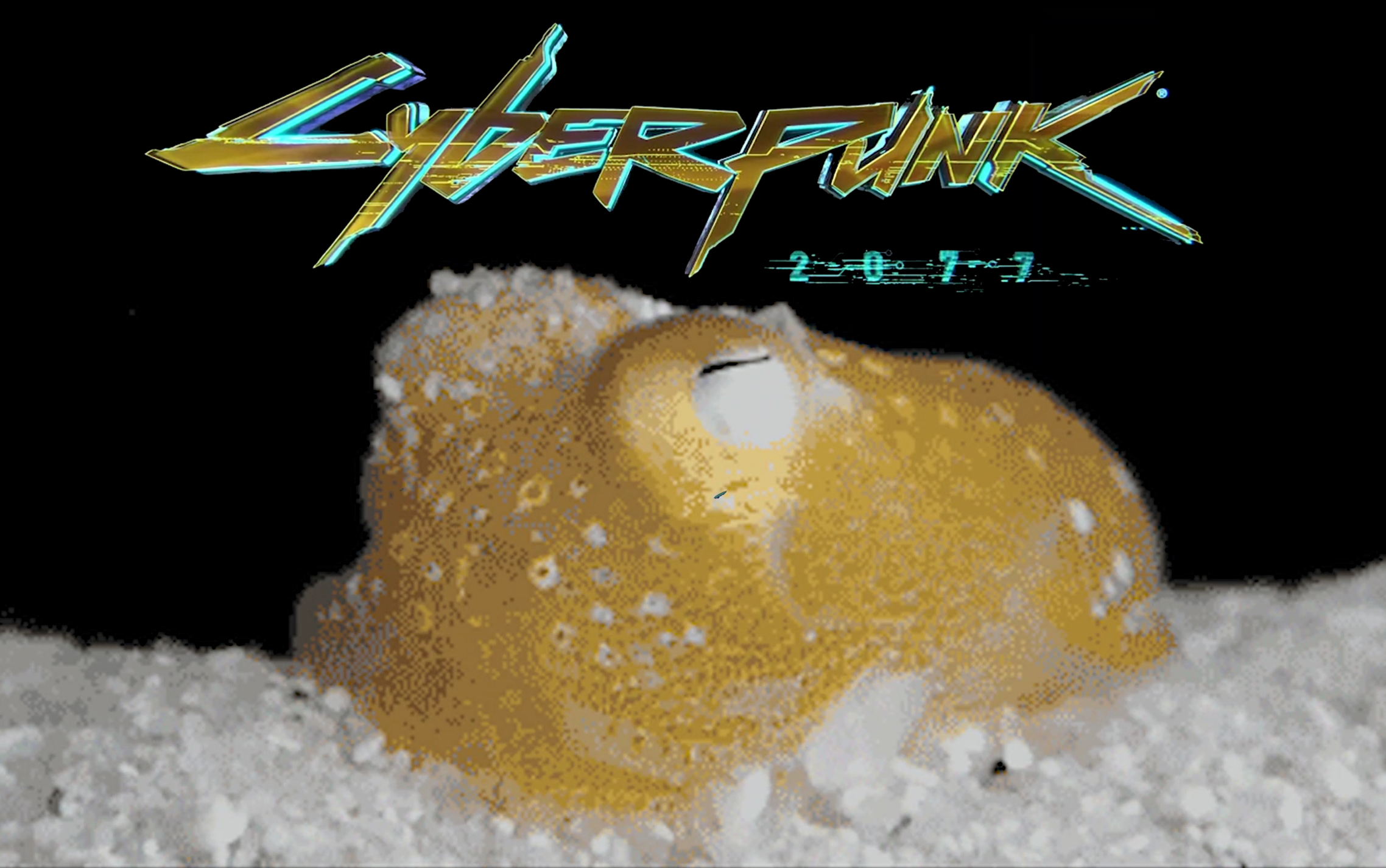 《赛博朋克2077》动物特典版 .沙雕动物迷惑大型dlc cyberpunk 2077