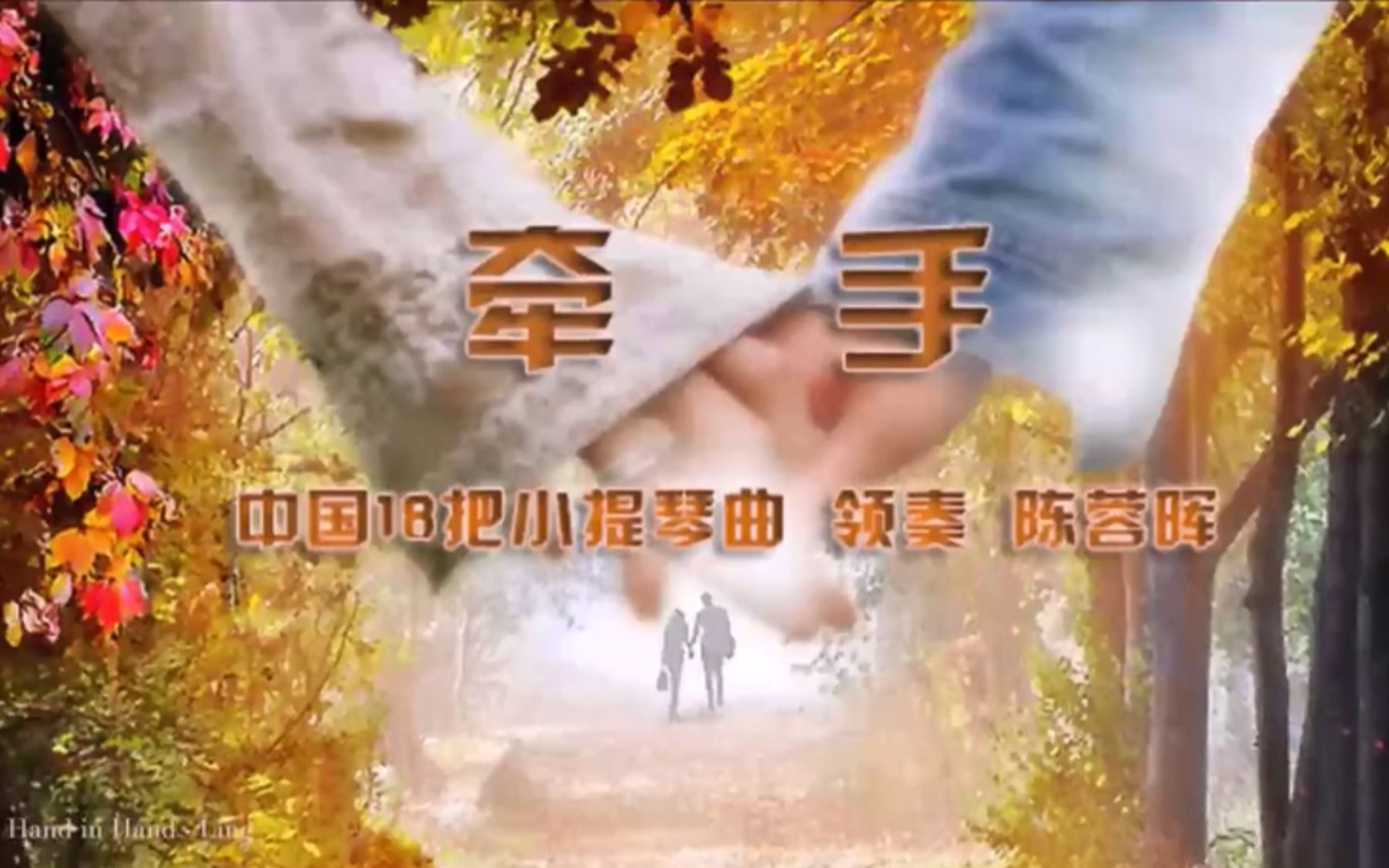 情人节,18把小提琴《牵手》太美太好听了,送给大家!