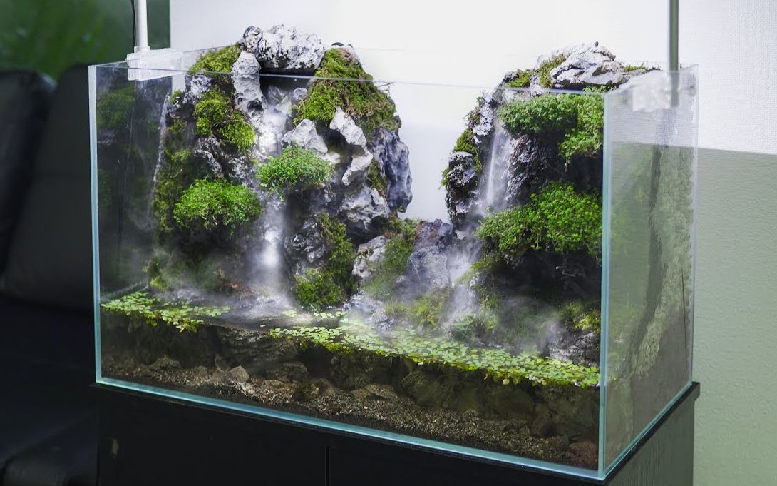 水陆缸双瀑布造景_哔哩哔哩_bilibili