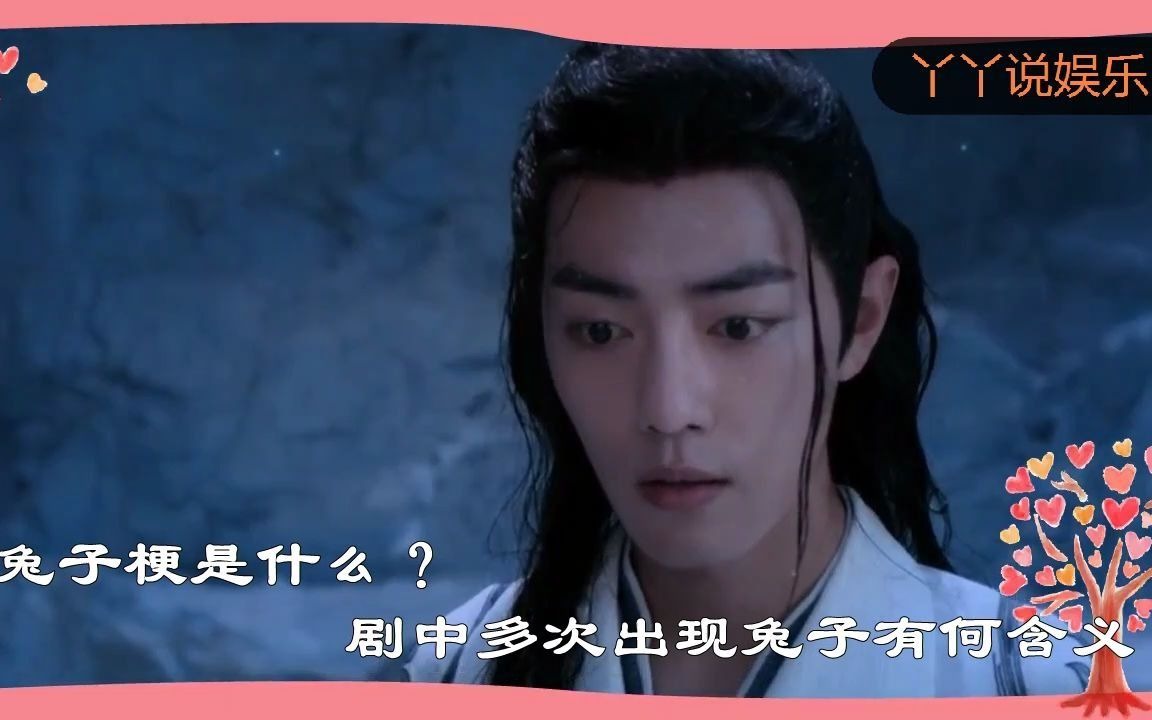 《陈情令》解析:剧中多次出现兔子镜头特写,有何含义?哔哩哔哩bilibili