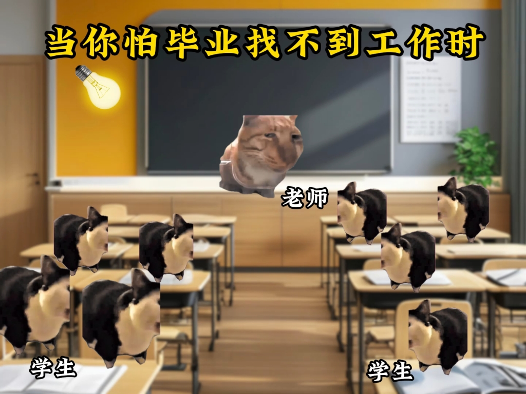 当你怕毕业找不到工作室-小懒猫meme-小懒猫meme-哔哩哔哩视频