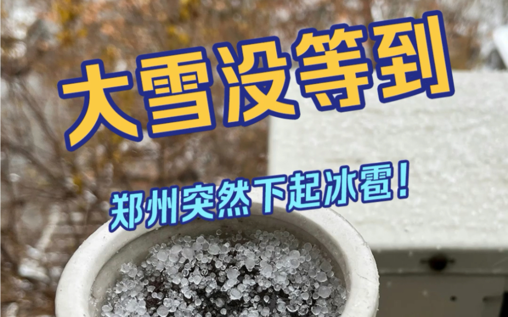 大雪没等到 郑州下起冰雹冰粒清晰可见!