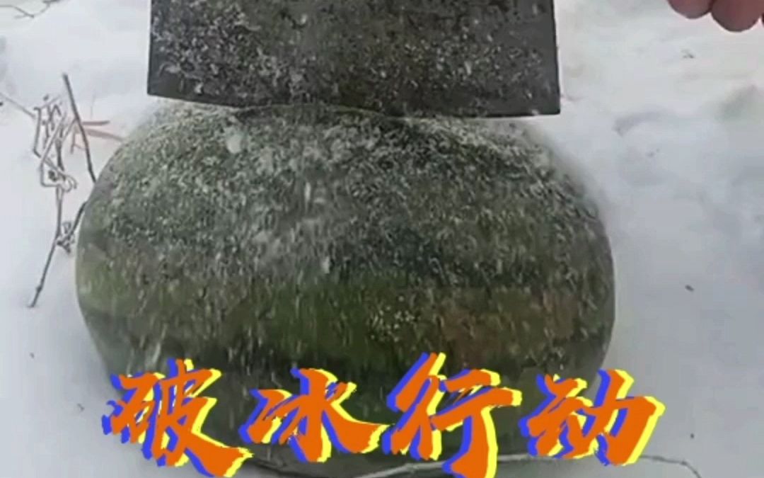 破 冰 行 动哔哩哔哩bilibili