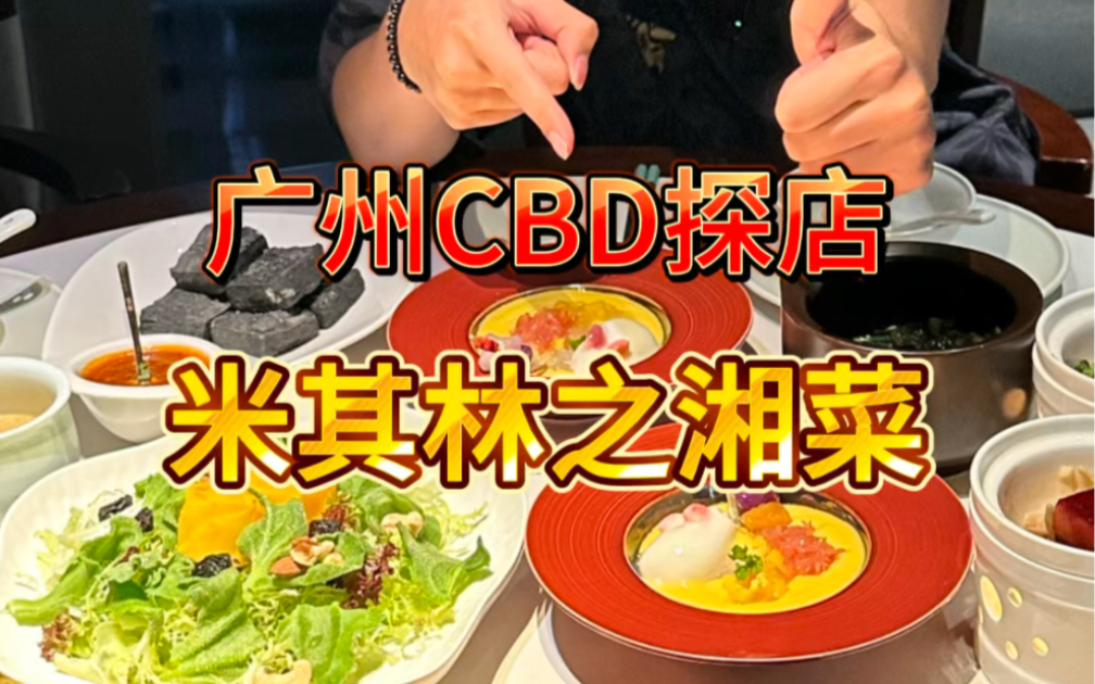 让我装一把!探店珠江新城米其林湘菜!哔哩哔哩bilibili