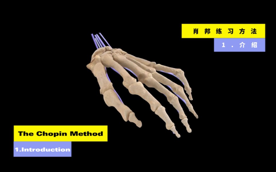 The Chopin Method:1.introduction 肖邦练习方法:1.介绍(半生半熟肉)哔哩哔哩bilibili