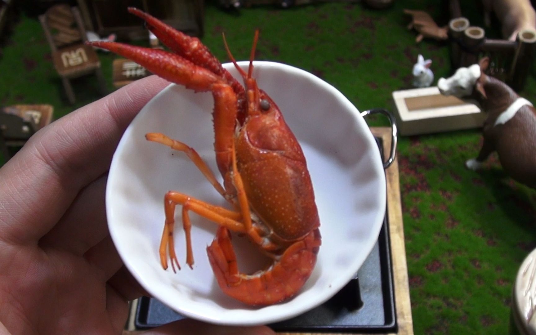 超有趣,小哥哥清蒸迷你小龙虾,看着好玩又能吃