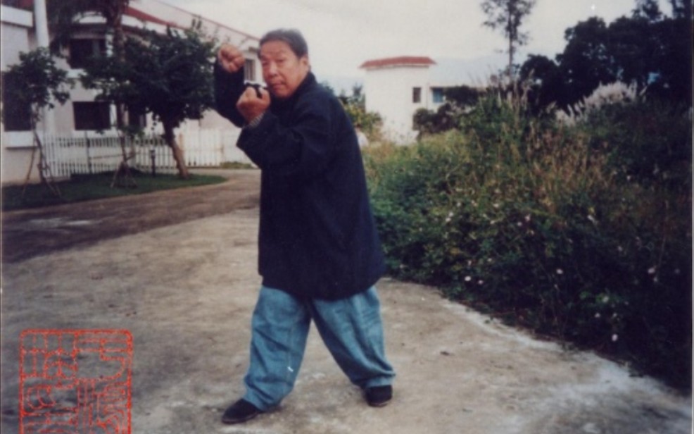大成拳 (意拳)王选杰_哔哩哔哩_bilibili