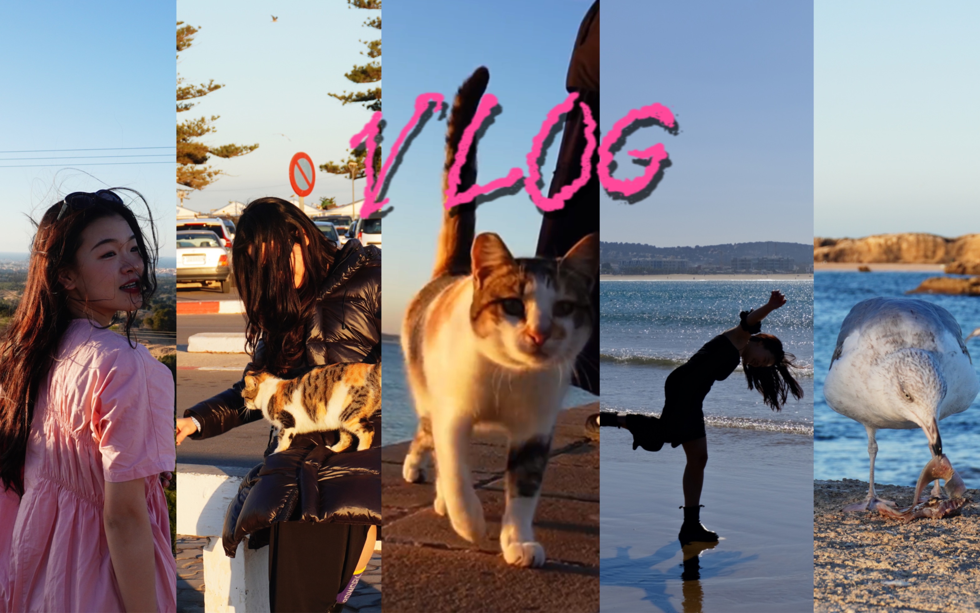 摩洛哥vlog ep3|北非的海边有一只我的猫猫朋友、能治愈一切的日落、果然小众景点才是真的神哔哩哔哩bilibili