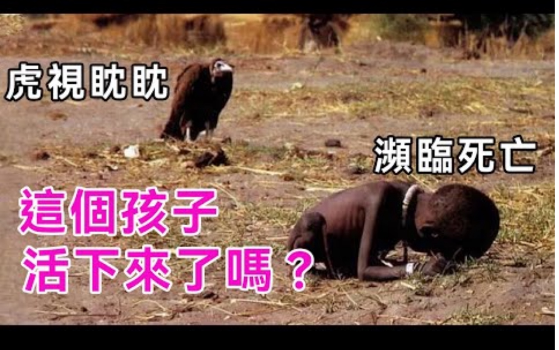 秃鹫在后面虎视眈眈最后结局如何揭开饥饿的苏丹背后真相非洲小孩谈笑