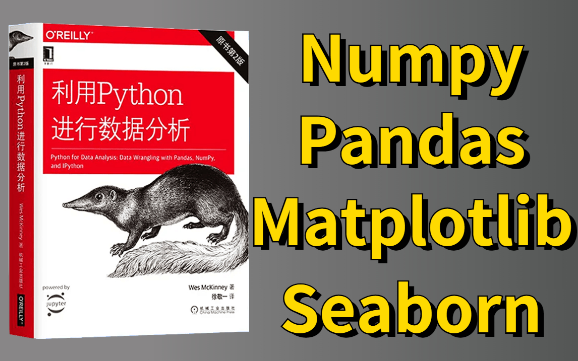 [图]学人工智能必看的【Python数据分析】清华计算机博士半天就教会我大学四年一直没学会的利用Python进行数据分析！太强了！-AI/深度学习/机器学习。