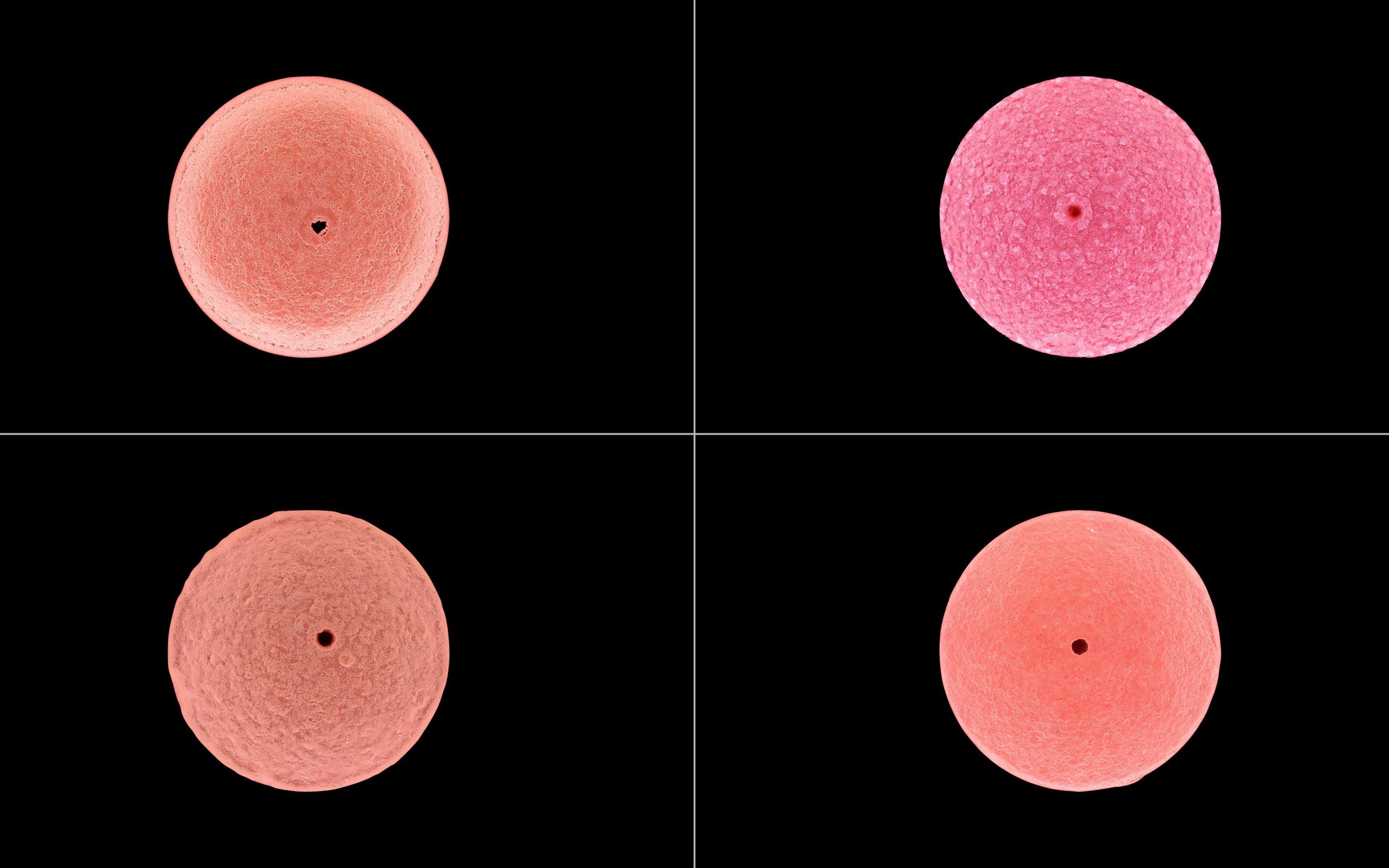 220723-一些集采中标的硝苯地平控释片