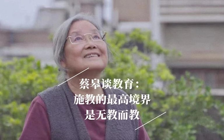 [图]许知远对话蔡皋：施教的最高境界是无教而教。