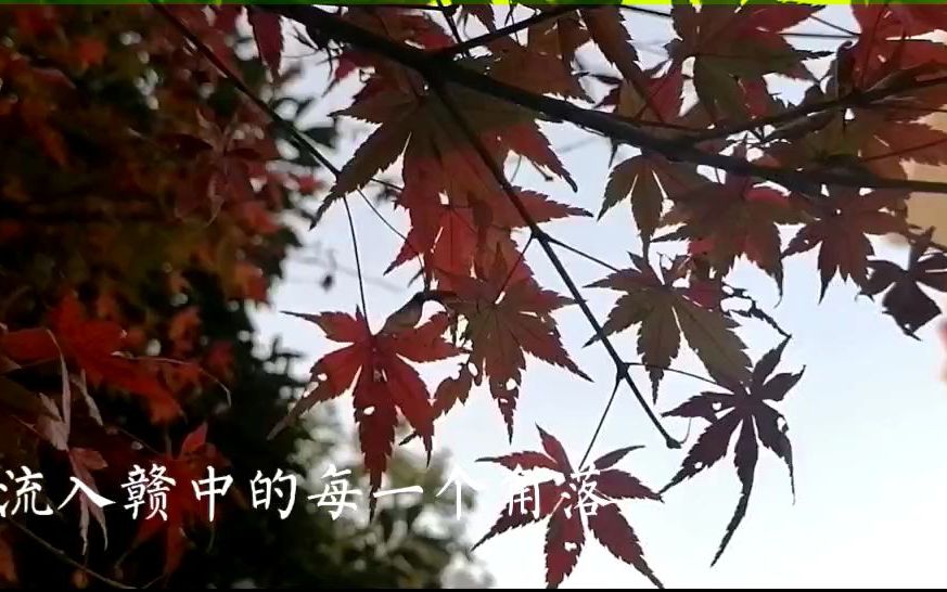 高二(14)班陈玉敏、高二(21)班刘苗苗 《风起赣中》哔哩哔哩bilibili