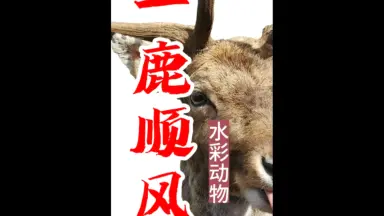 水彩大象///-哔哩哔哩_Bilibili