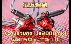 Download Video: 【甲苯上海】开箱&评测 Acoustune Hs2000mkii全新上市标配05单元 玫瑰金腔体真好看 换壳被你玩明白了