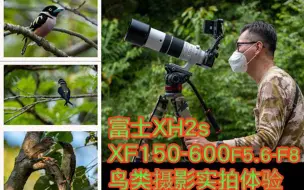 Télécharger la video: 富士XH2s XF 150-600 F5.6-F8 鸟类摄影实拍体验