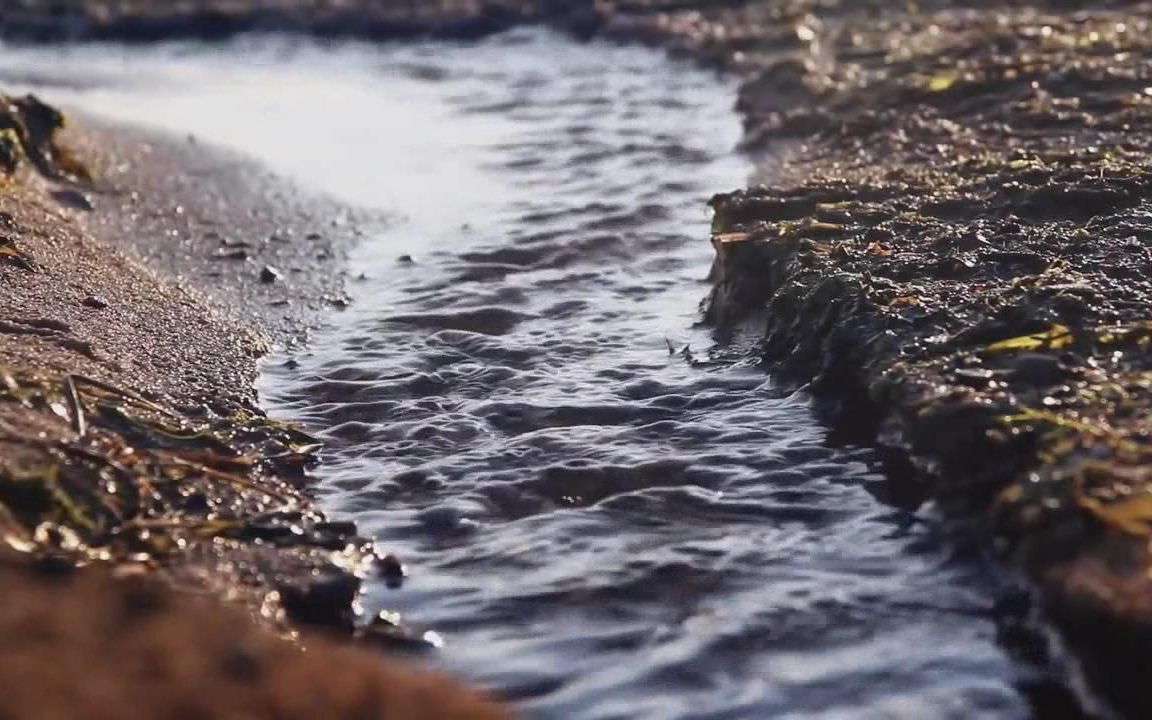 [图]公益广告-大自然在说话《水》英文版 英语配音素材 消音素材 加了部分中英文双字幕