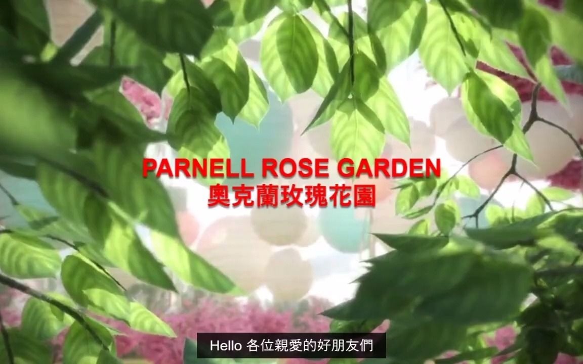 [图][移民新西兰] 奥克兰最知名的花园Parnell Rose Garden帕奈尔玫瑰园VLOG