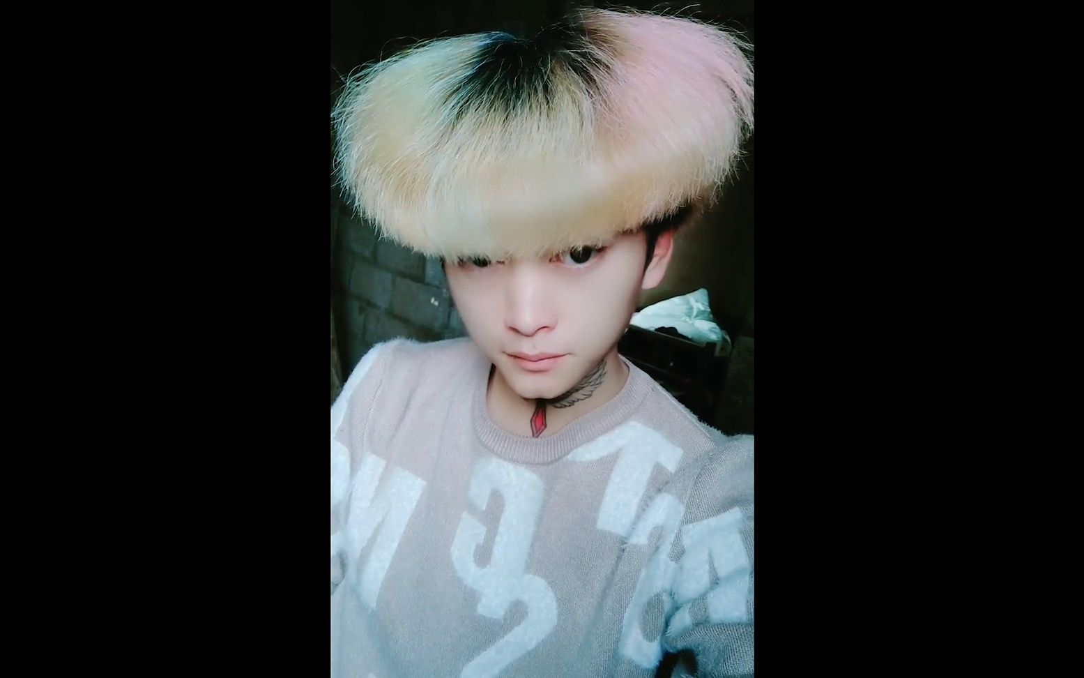 【土味视频】别致的ufo头型_哔哩哔哩 (゜-゜)つロ 干杯~-bilibili