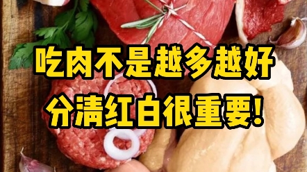 红肉与白肉的区别!哔哩哔哩bilibili