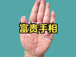 Download Video: 有富贵相的掌纹