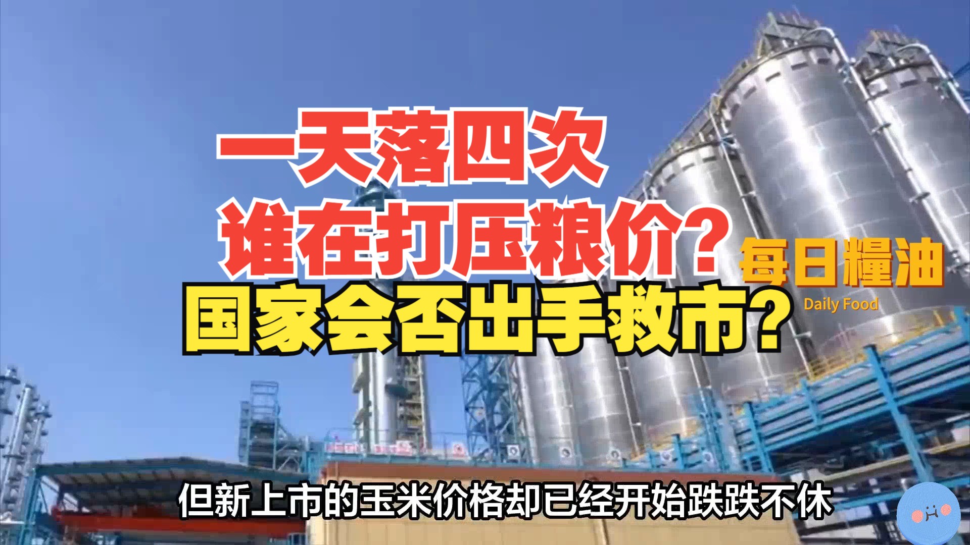 国庆期间秋粮陆续上市有企业一天落价四次 谁在压低玉米收购价格?国家会否出手救市?哔哩哔哩bilibili