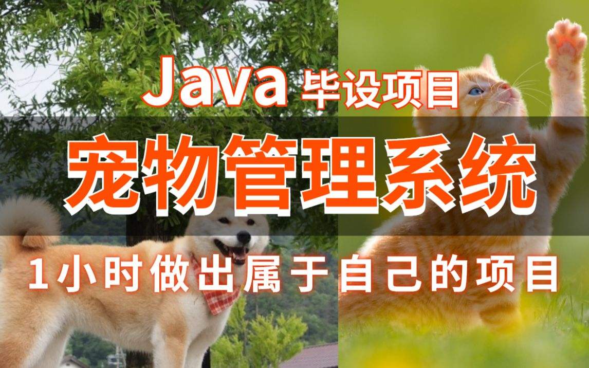 计算机JAVA毕设项目—基于JAVA的宠物管理系统实现哔哩哔哩bilibili