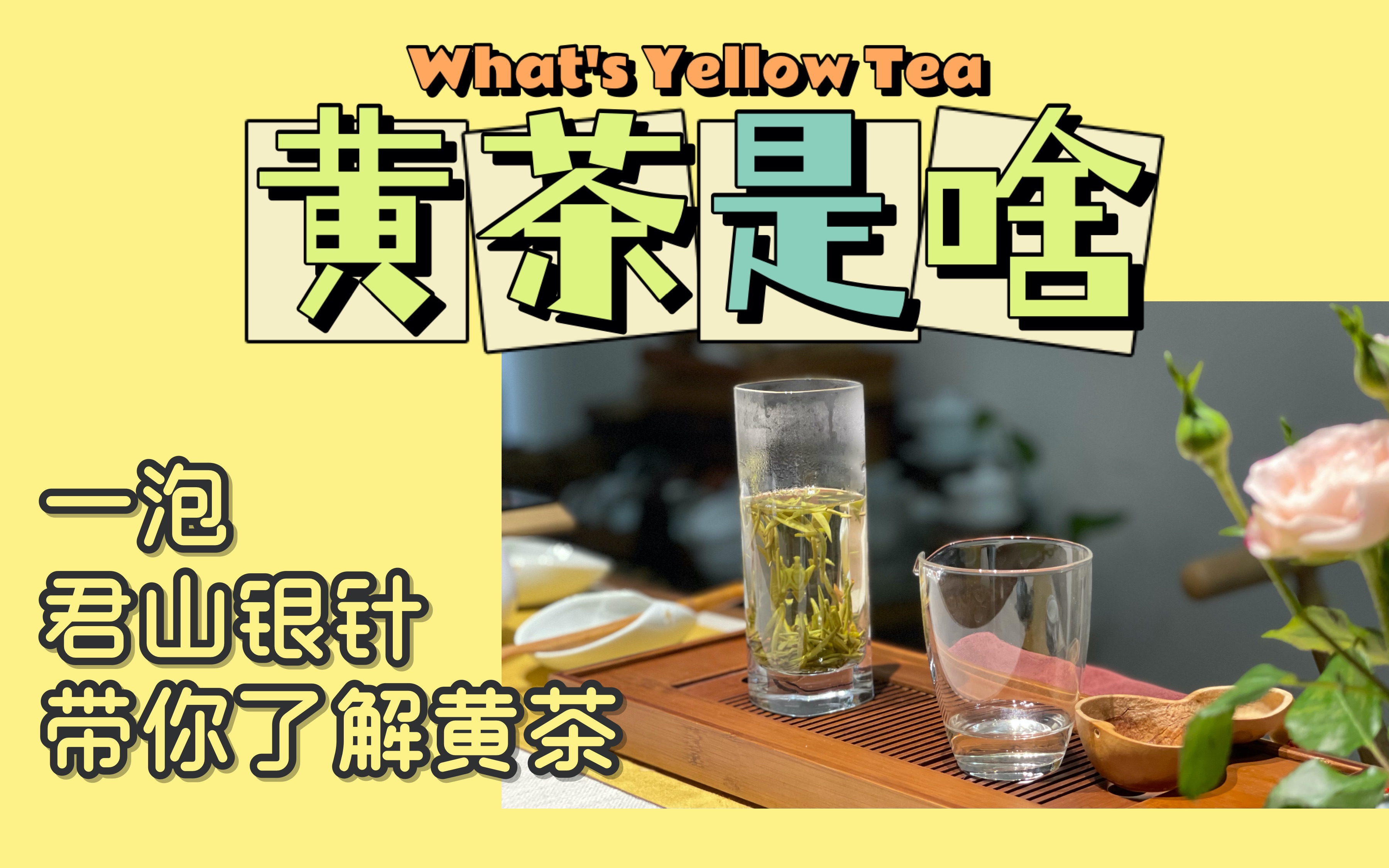 【茶叶知识】之黄茶(1)你知道黄茶吗?一泡君山银针,带你了解黄茶哔哩哔哩bilibili