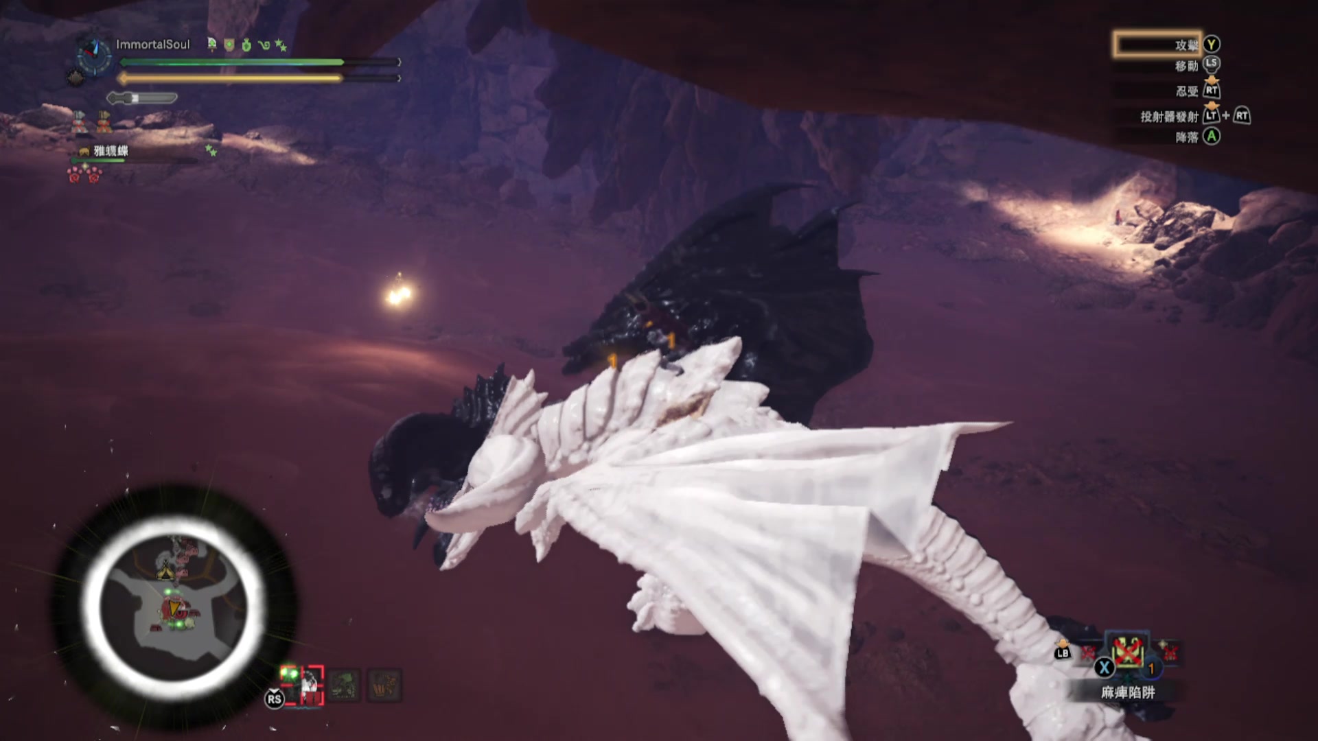 我抓到黑白角龙了