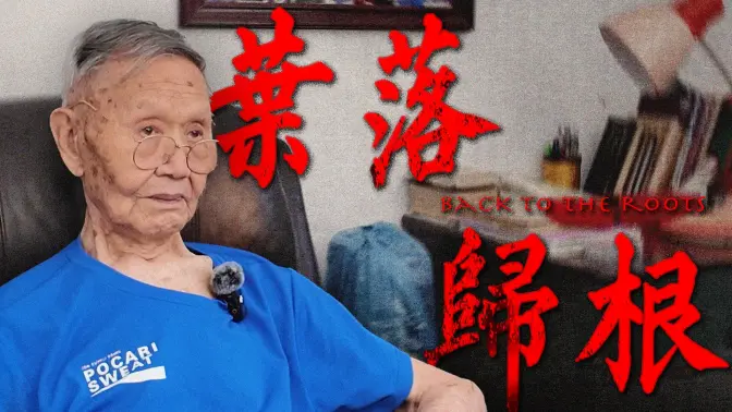 叶 落 归 根