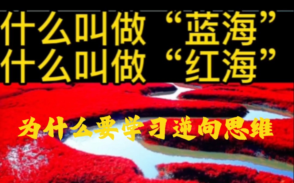 什么叫作“蓝海”?什么叫作“红海”?为什么要学习逆向思维?哔哩哔哩bilibili