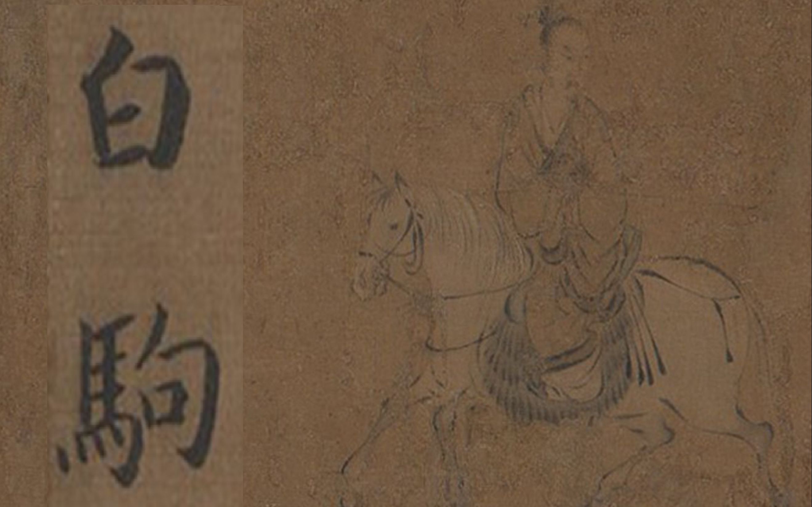 诗经186《小雅.白驹》-学习记录-原文朗读-进步生自习室-进步生自习室-哔哩哔哩视频