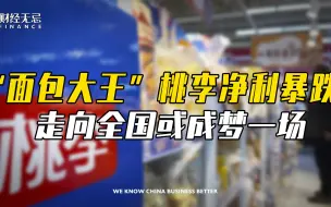 Descargar video: “面包大王”桃李净利暴跌，走向全国或成梦一场