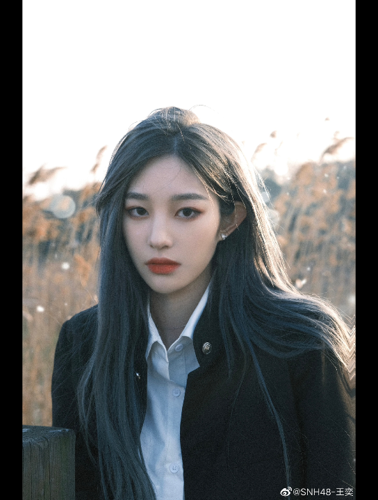 【王奕】 盛 世 美 颜