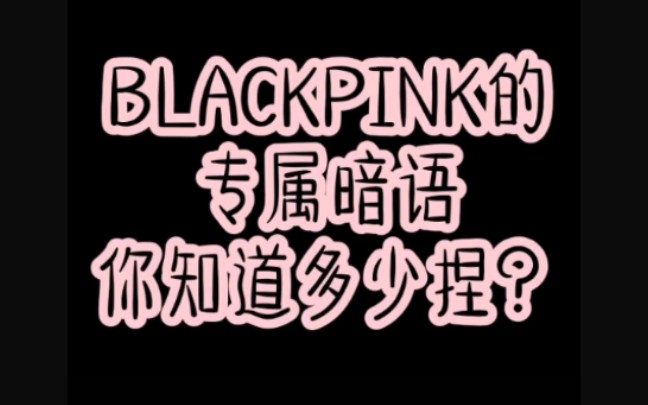 测试你是不是资深blink,你对blackpink四位仙女的暗号了解多少呢?