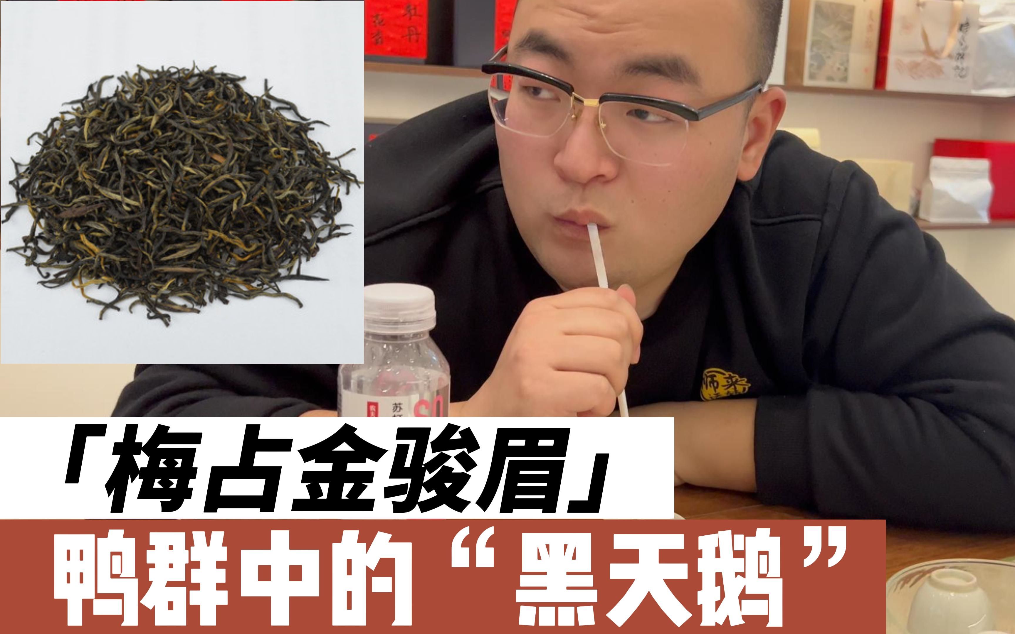 【老猪拱茶】第二期,极具性价比它是鸭群中的“黑天鹅”梅占金骏眉哔哩哔哩bilibili