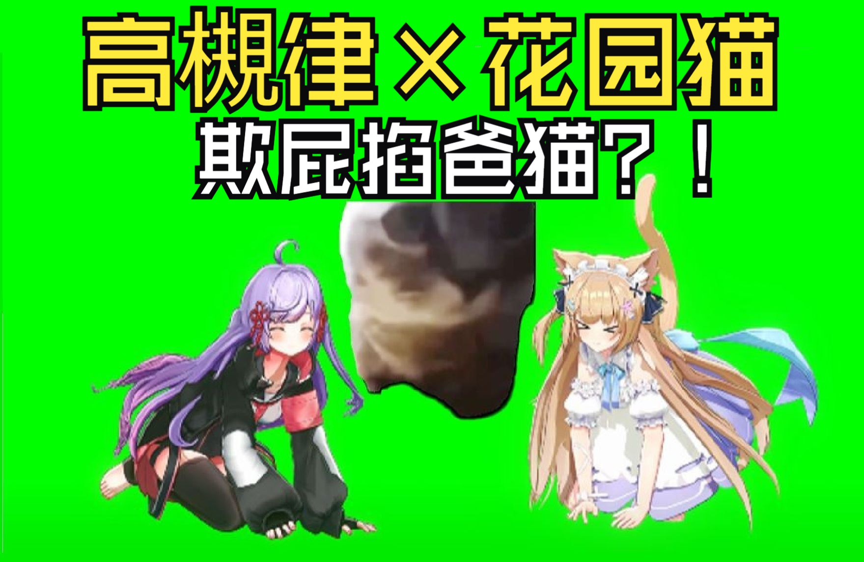 chipichapa猫meme最高画质3d版?欢迎大家自由使用!