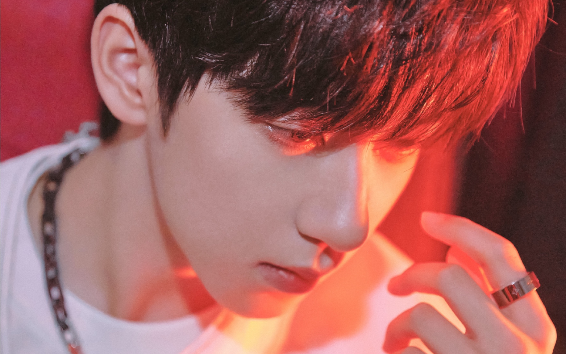 春海月明专属于我们的浪漫_哔哩哔哩_bilibili