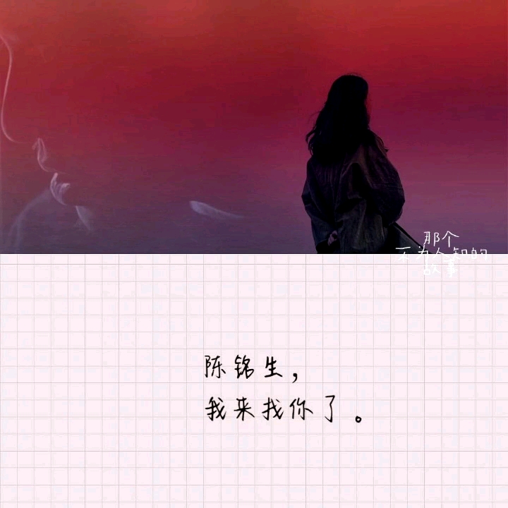 【那个不为人知的故事】陈铭生x杨昭哔哩哔哩bilibili