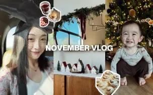 Download Video: NOV VLOG｜圣诞装饰 is up！贴冬膘各种面包做起来了～英式司康饼🍓 肉桂卷｜