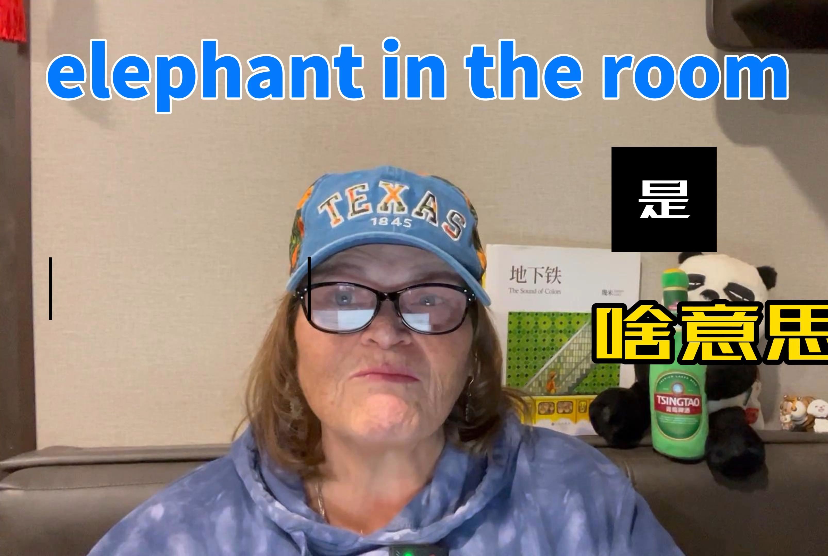 elephant in the room是什么意思?哔哩哔哩bilibili