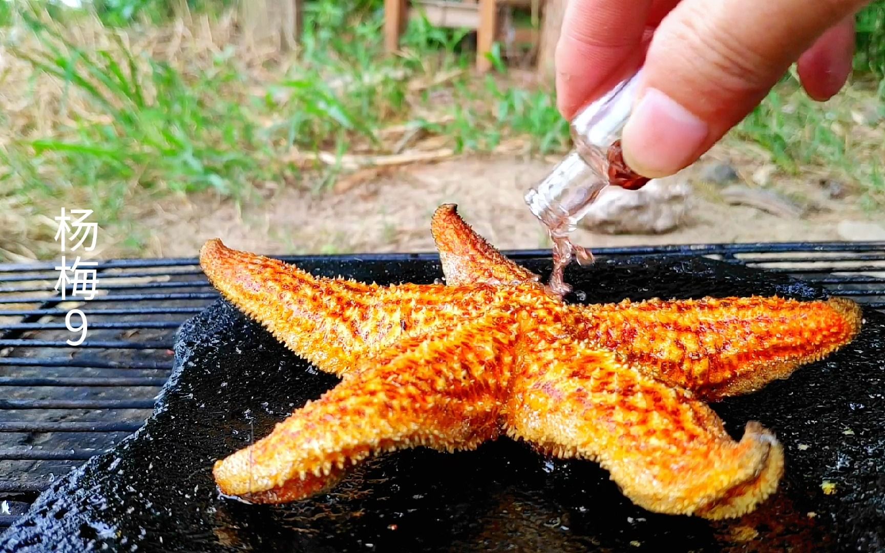 小伙捡了一个海星,用石板烤着吃,不愧是海里的味道太好了