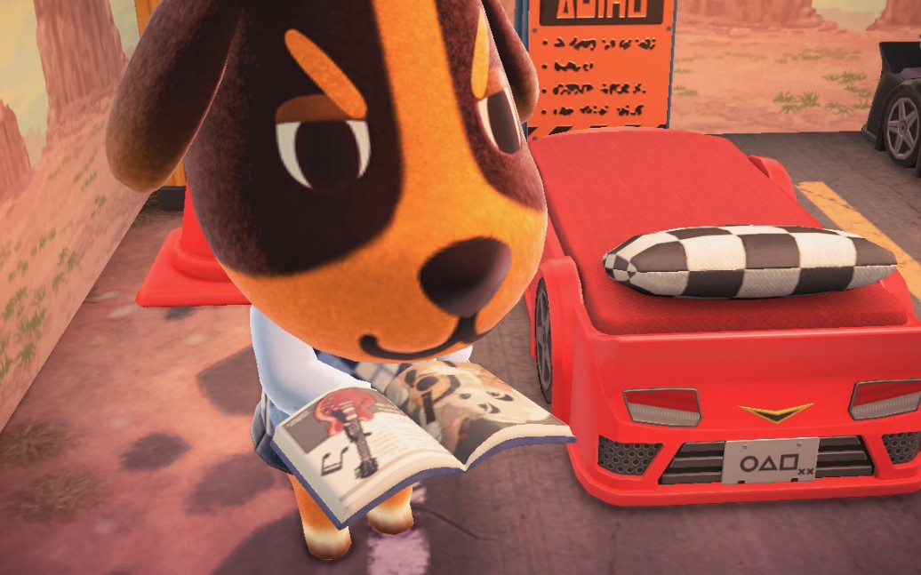 听新来的狗狗约翰唱狗狗kk的歌