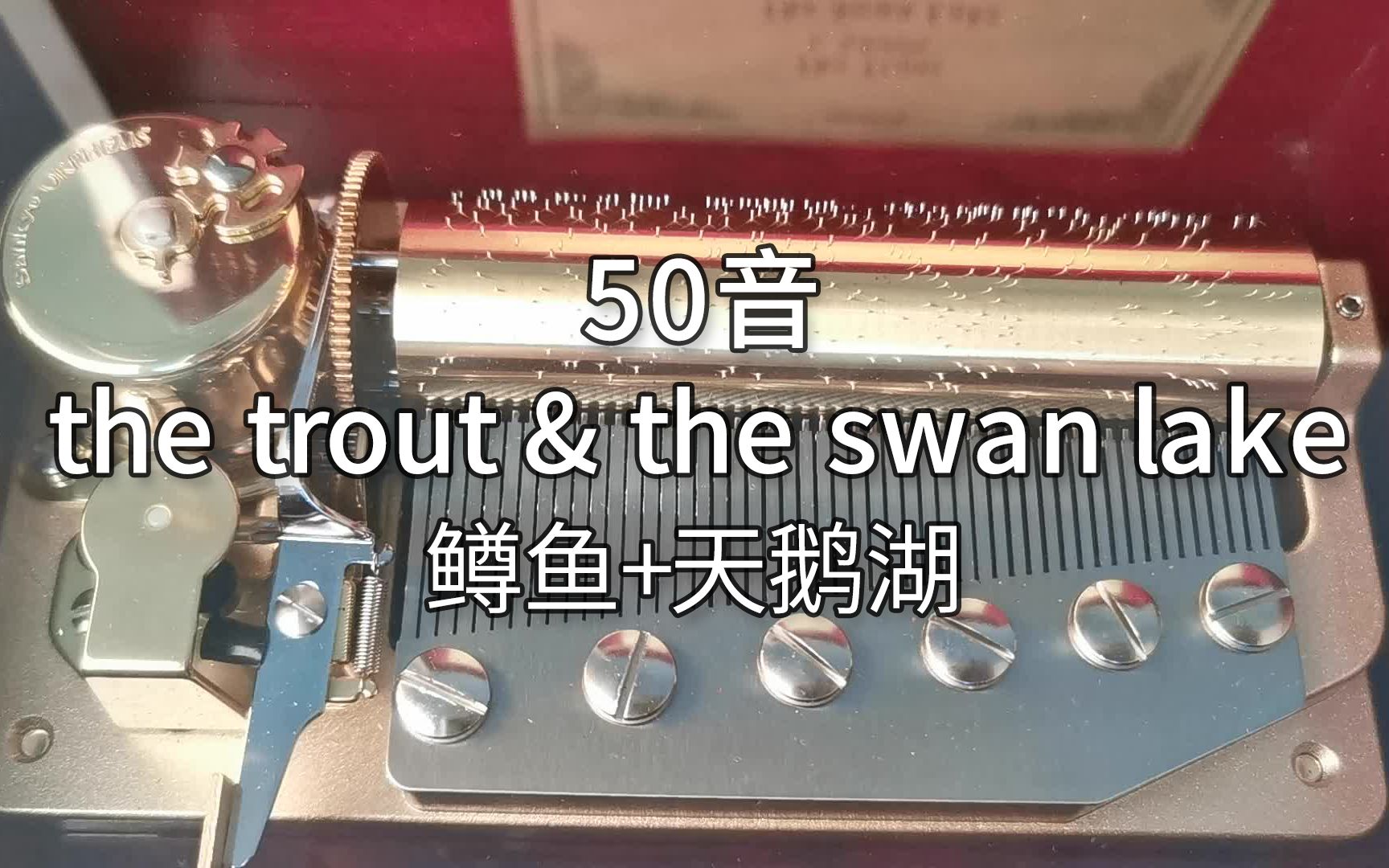 [图]50音 sankyo机芯 the trout鳟鱼 & the swan lake天鹅湖 音乐盒八音盒