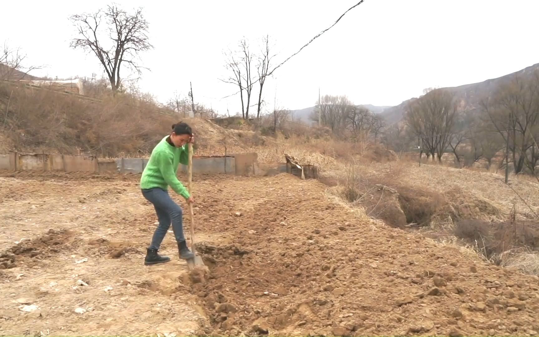 [图]女青年返乡创业，只有生活在这片土地上的人们才能读懂