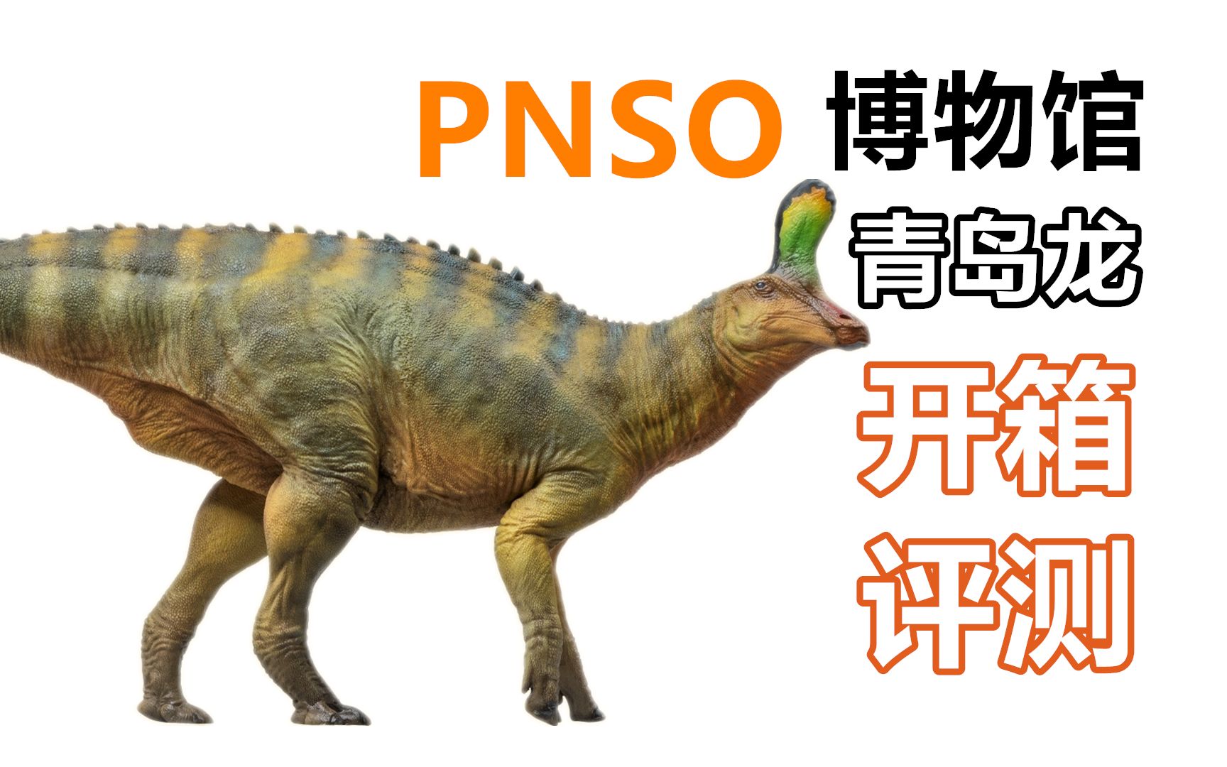 【恐龙模型】pnso1/35科学复原青岛龙开箱评测!