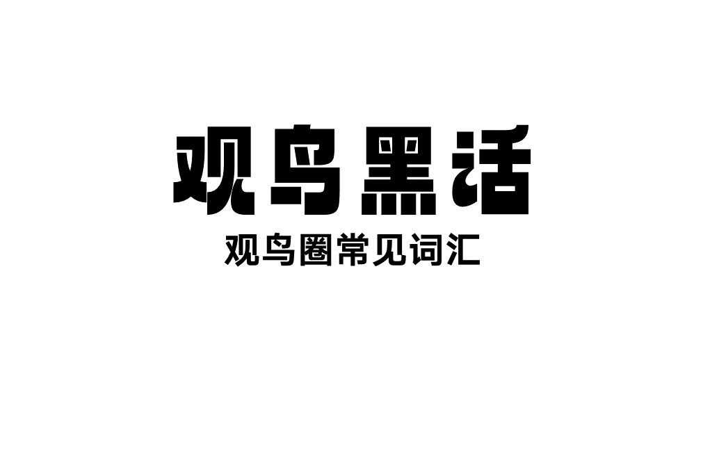 观鸟圈黑话 你知道“瞜”吗?哔哩哔哩bilibili