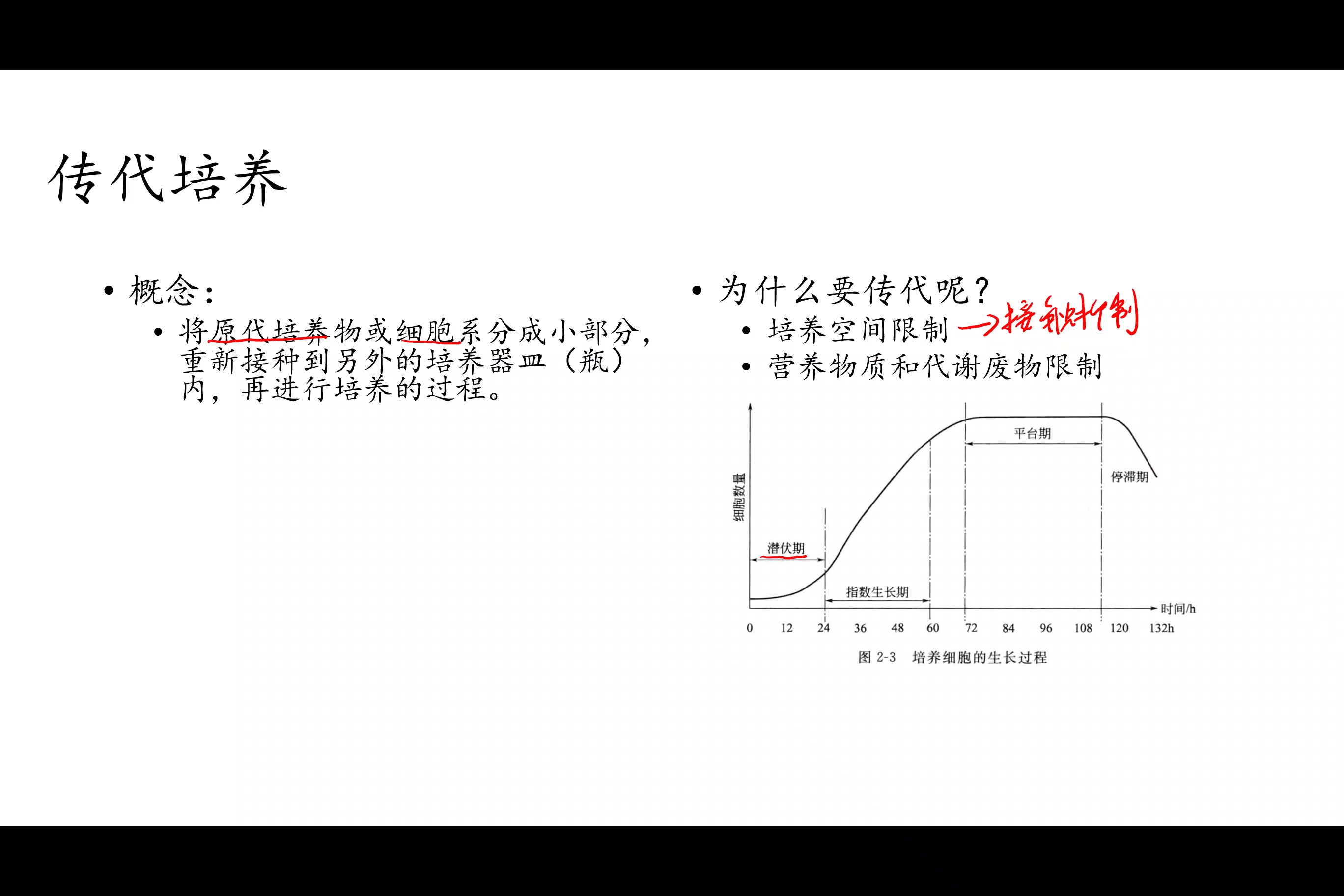 动物细胞培养2:细胞系、细胞株、传代哔哩哔哩bilibili