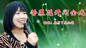 老电影歌曲 苦菜花开闪金光 电影 苦菜花 插曲 王音璇演唱 哔哩哔哩 つロ干杯 Bilibili